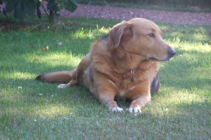 20080704-10
