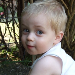 2008 Noah vanaf 1 jaar